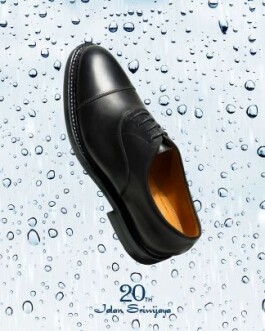 【雨の日にもオススメ】lady’sでも。