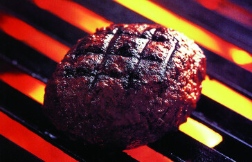 ハングリータイガー